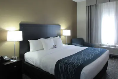 Photo 2 - Comfort Inn Port Huron