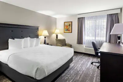 Photo 2 - Best Western Saluki Inn
