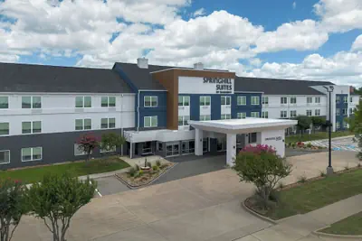 Photo 2 - SpringHill Suites Dallas Arlington North