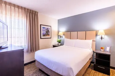 Photo 5 - Sonesta Simply Suites Stafford
