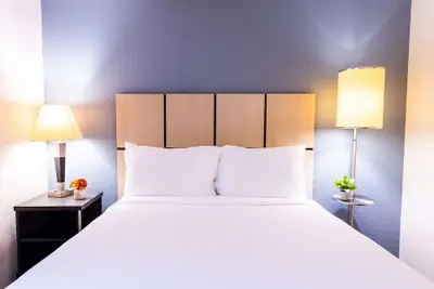 Photo 2 - Sonesta Simply Suites Stafford
