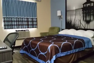 Photo 5 - Super 8 by Wyndham Greenville