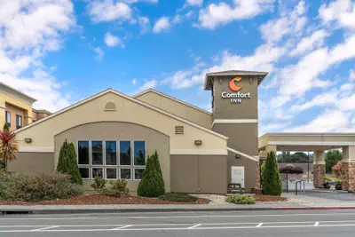 Photo 2 - Comfort Inn Arcata - Humboldt Area