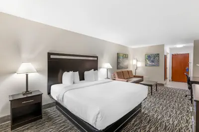 Photo 2 - Best Western Plus McDonough Inn & Suites