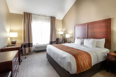 Photo 2 - Comfort Inn & Suites Love Field - Dallas Market Center