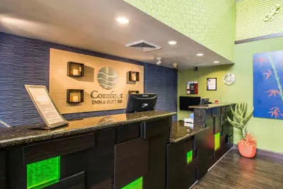 Photo 4 - Comfort Inn & Suites Lantana - West Palm Beach South