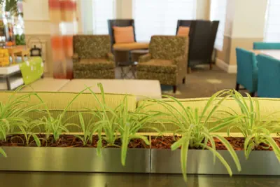 Photo 2 - Hilton Garden Inn St. Augustine Beach