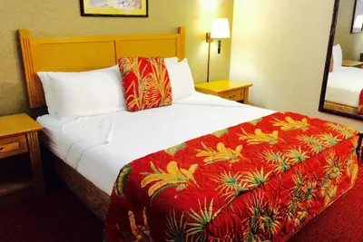 Photo 4 - Caliente Tropics Hotel