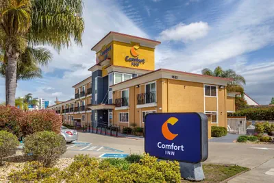 Photo 2 - Comfort Inn Castro Valley
