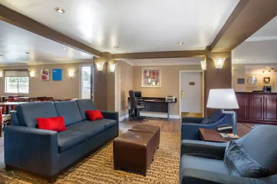 Photo 3 - Comfort Inn Castro Valley