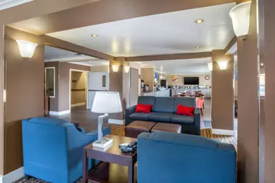 Photo 4 - Comfort Inn Castro Valley