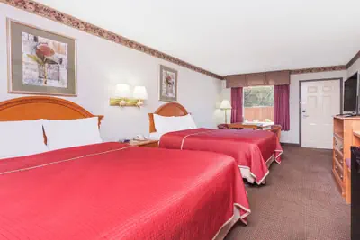 Photo 3 - Regency Inn & Suites-Hamilton Place