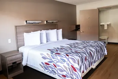 Photo 5 - Red Roof Inn Rochester - Henrietta