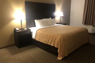 Photo 5 - Quality Inn & Suites Paragould