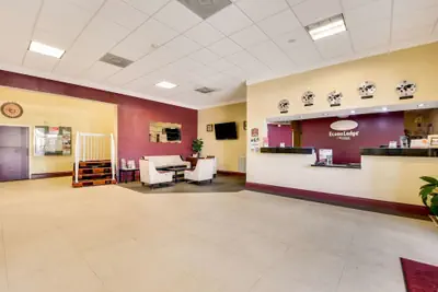 Photo 5 - Econo Lodge Tampa near Busch Gardens
