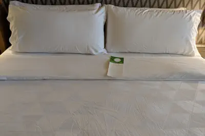 Photo 4 - Holiday Inn Champaign by IHG