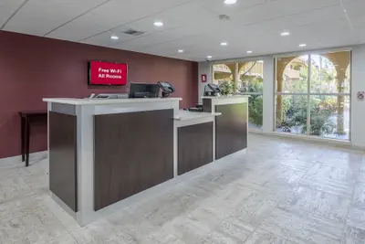 Photo 3 - Red Roof Inn Tampa Bay - St Petersburg