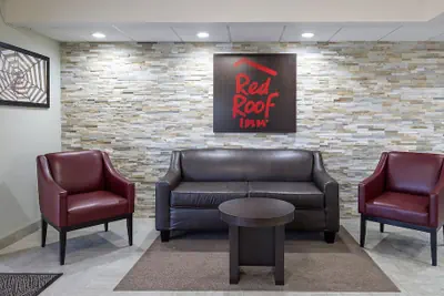 Photo 4 - Red Roof Inn Tampa Bay - St Petersburg