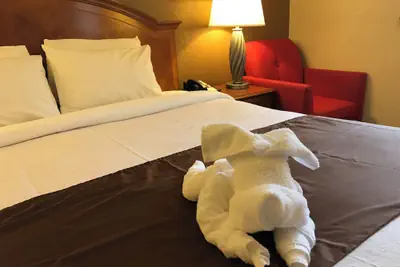 Photo 4 - Americas Best Value Inn Lynnwood Seattle