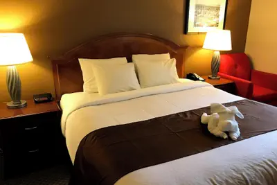 Photo 3 - Americas Best Value Inn Lynnwood Seattle