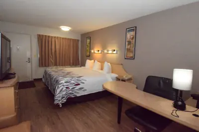 Photo 4 - Red Roof Inn Buffalo – Hamburg/ I-90