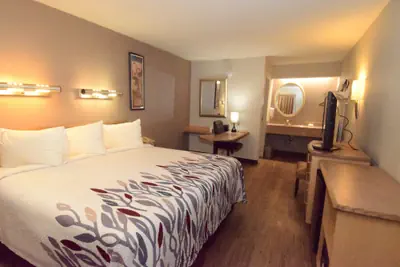 Photo 5 - Red Roof Inn Buffalo – Hamburg/ I-90