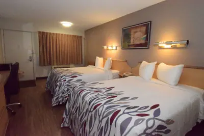 Photo 3 - Red Roof Inn Buffalo – Hamburg/ I-90
