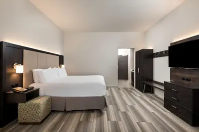 Photo 4 - Holiday Inn Express & Suites Lakeland South by IHG