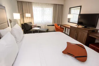 Photo 5 - Hampton Inn Albany-Western Ave/University Area
