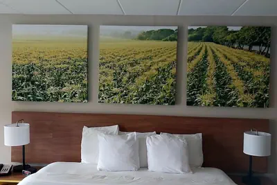 Photo 4 - Days Inn by Wyndham Vineland
