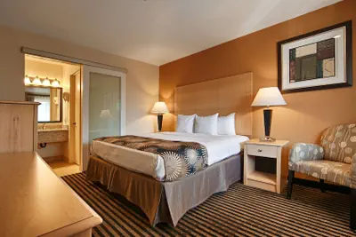 Photo 5 - Best Western Palm Court Inn