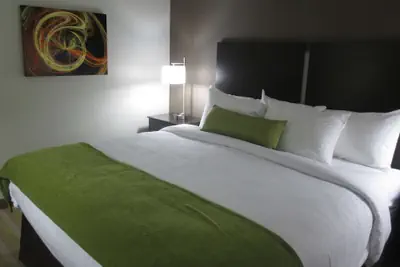 Photo 5 - Best Western Harvest Inn & Suites