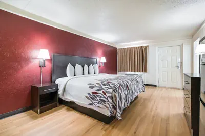 Photo 4 - Red Roof Inn North Dallas - Park Central