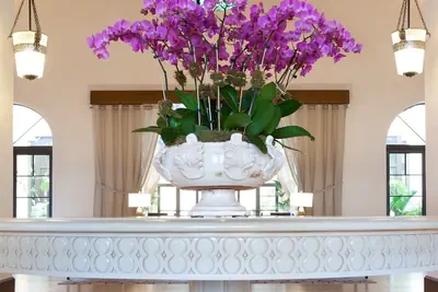 Photo 3 - The Alfond Inn