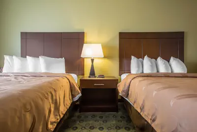 Photo 4 - Quality Inn & Suites Bloomington I-55 and I-74