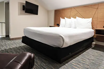 Photo 3 - RiverTree Inn & Suites