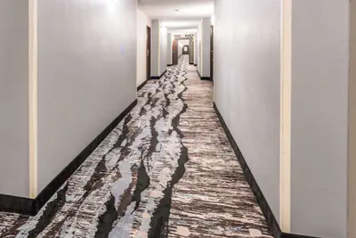 Photo 4 - Quality Inn & Suites Danville East