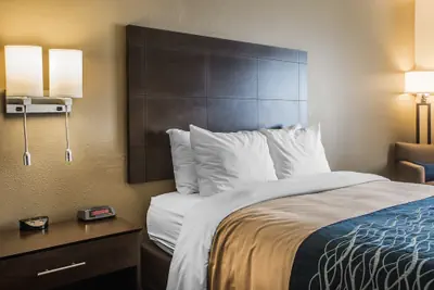 Photo 5 - Comfort Inn & Suites Waterloo - Cedar Falls