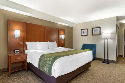 Photo 5 - Comfort Inn & Suites - near Robins Air Force Base Main Gate
