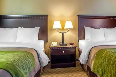 Photo 5 - Comfort Inn Edison - New Brunswick