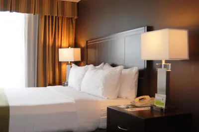 Photo 5 - Holiday Inn Hotel & Suites Anaheim by IHG