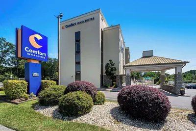 Photo 2 - Comfort Inn & Suites Durham near Duke University