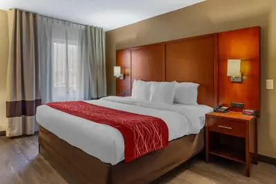 Photo 5 - Comfort Inn Fort Mill Amusement Park at Carowinds Blvd