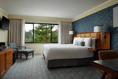 Photo 4 - Hotel Abrego