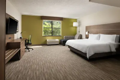 Photo 4 - Holiday Inn Express & Suites Irving Dfw Airport North by IHG