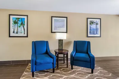Photo 3 - Comfort Inn & Suites St. Pete - Clearwater International Airport