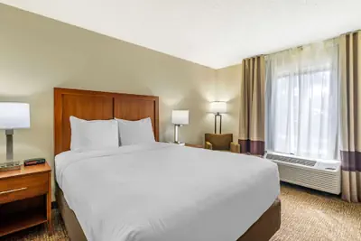 Photo 5 - Comfort Inn & Suites St. Pete - Clearwater International Airport