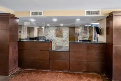 Photo 4 - Comfort Inn & Suites St. Pete - Clearwater International Airport