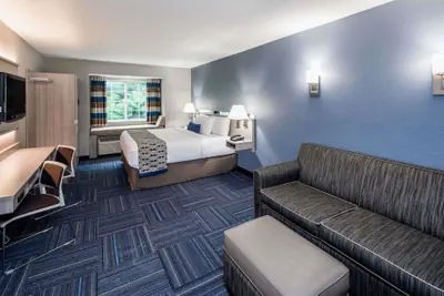 Photo 5 - Microtel Inn & Suites by Wyndham Greenville / Woodruff Rd