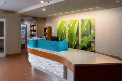 Photo 3 - SpringHill Suites by Marriott Atlanta Alpharetta
